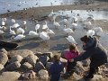 09-03-2014 15-47-07 (Large)